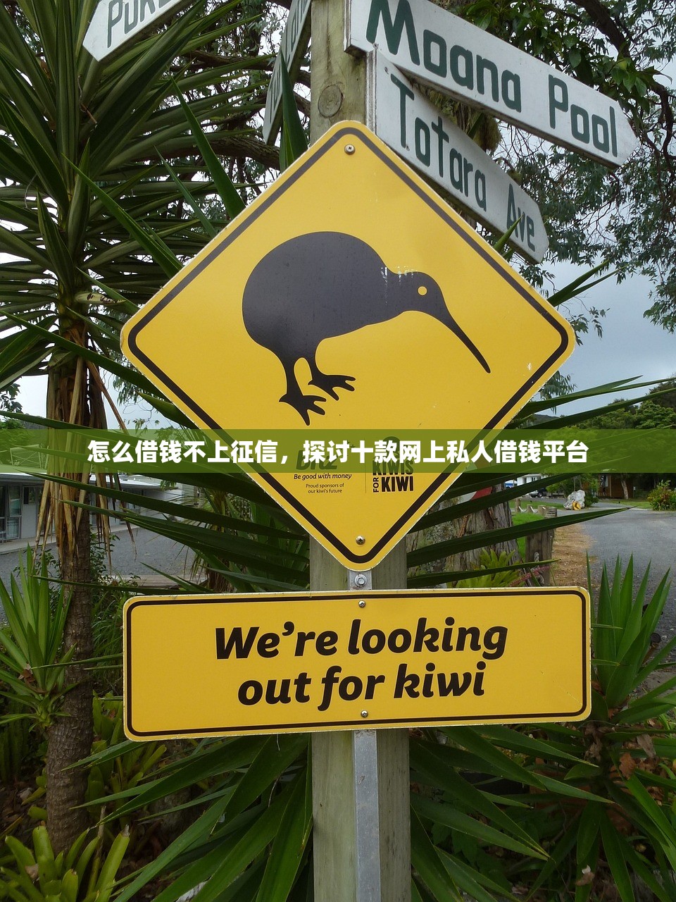 怎么借钱不上征信，探讨十款网上私人借钱平台