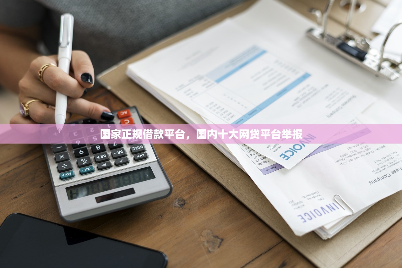 国家正规借款平台，国内十大网贷平台举报