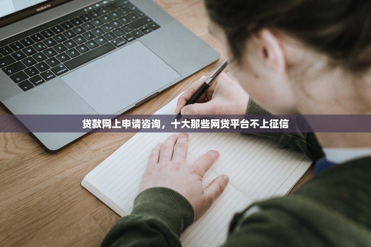 贷款网上申请咨询，十大那些网贷平台不上征信