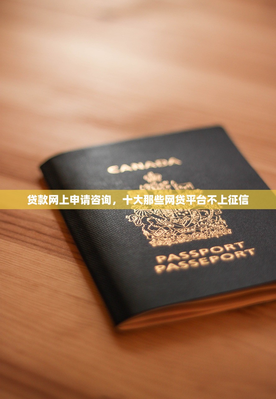 贷款网上申请咨询，十大那些网贷平台不上征信