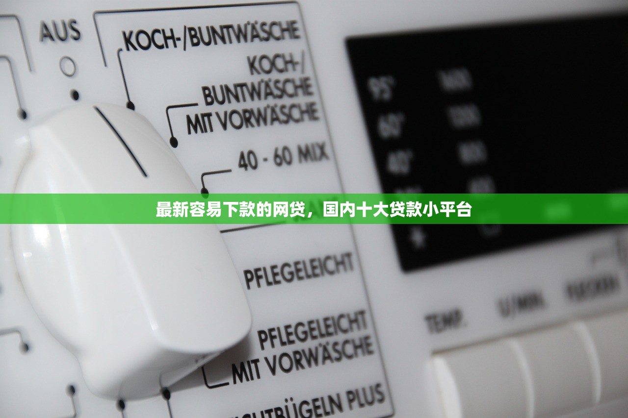最新容易下款的网贷，国内十大贷款小平台