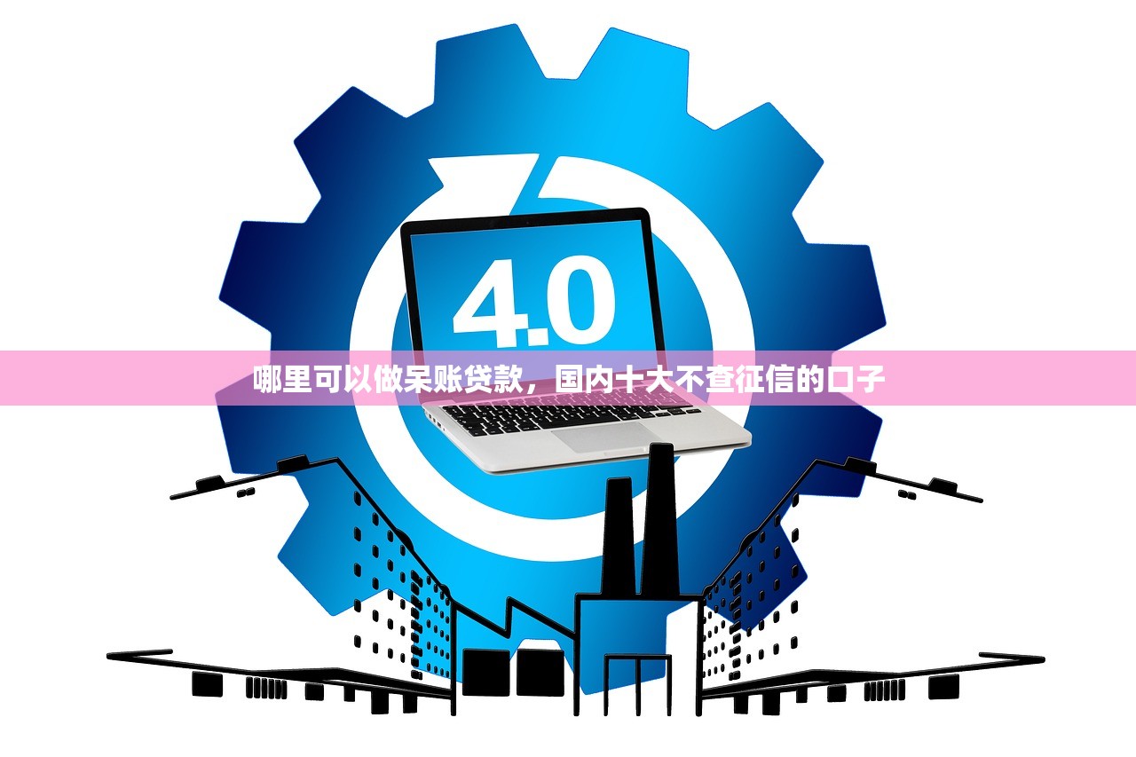 哪里可以做呆账贷款，国内十大不查征信的口子