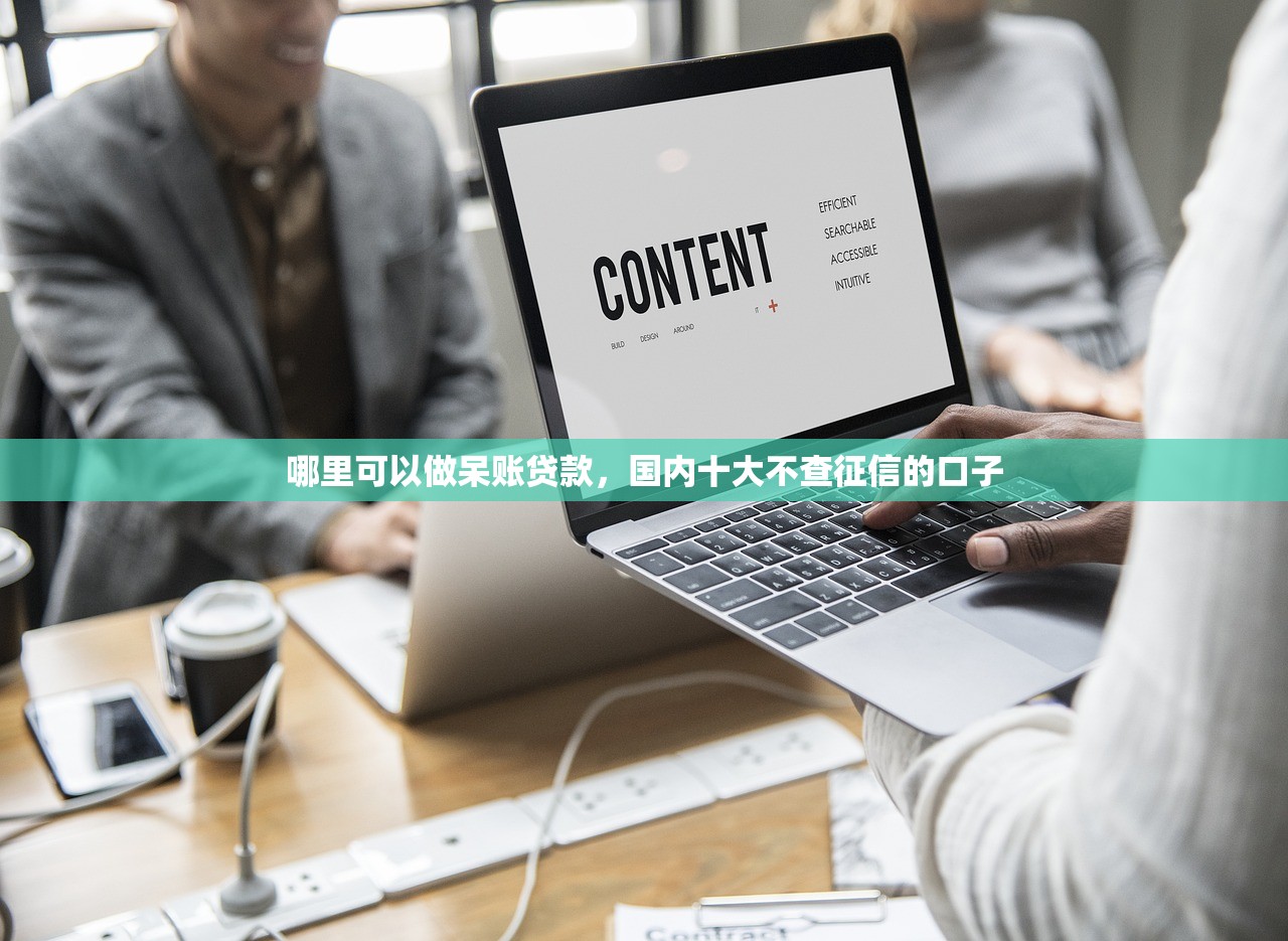 哪里可以做呆账贷款，国内十大不查征信的口子