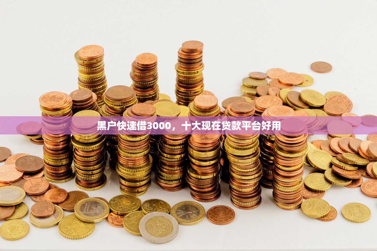 黑户快速借3000，十大现在贷款平台好用