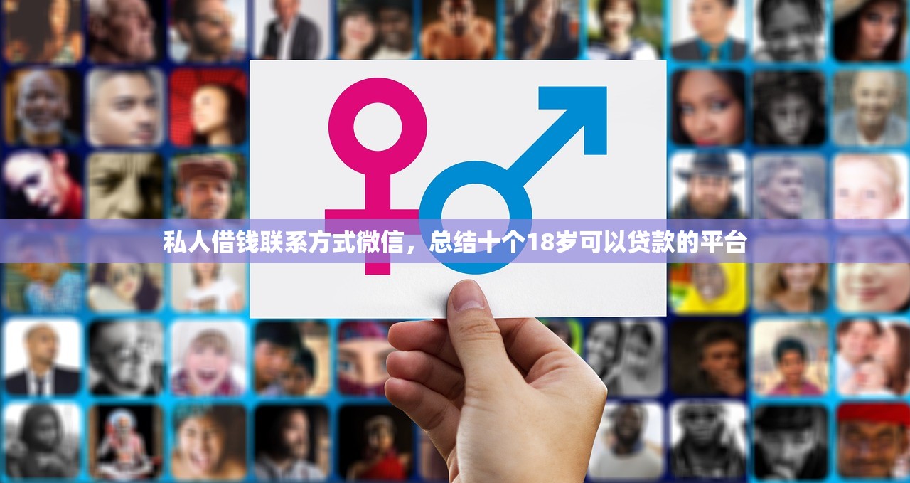 必下款的小额贷款2024年，十大不看征信网贷平台哪些好下款