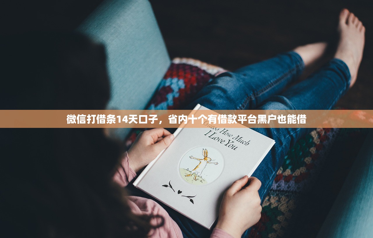微信打借条14天口子，省内十个有借款平台黑户也能借