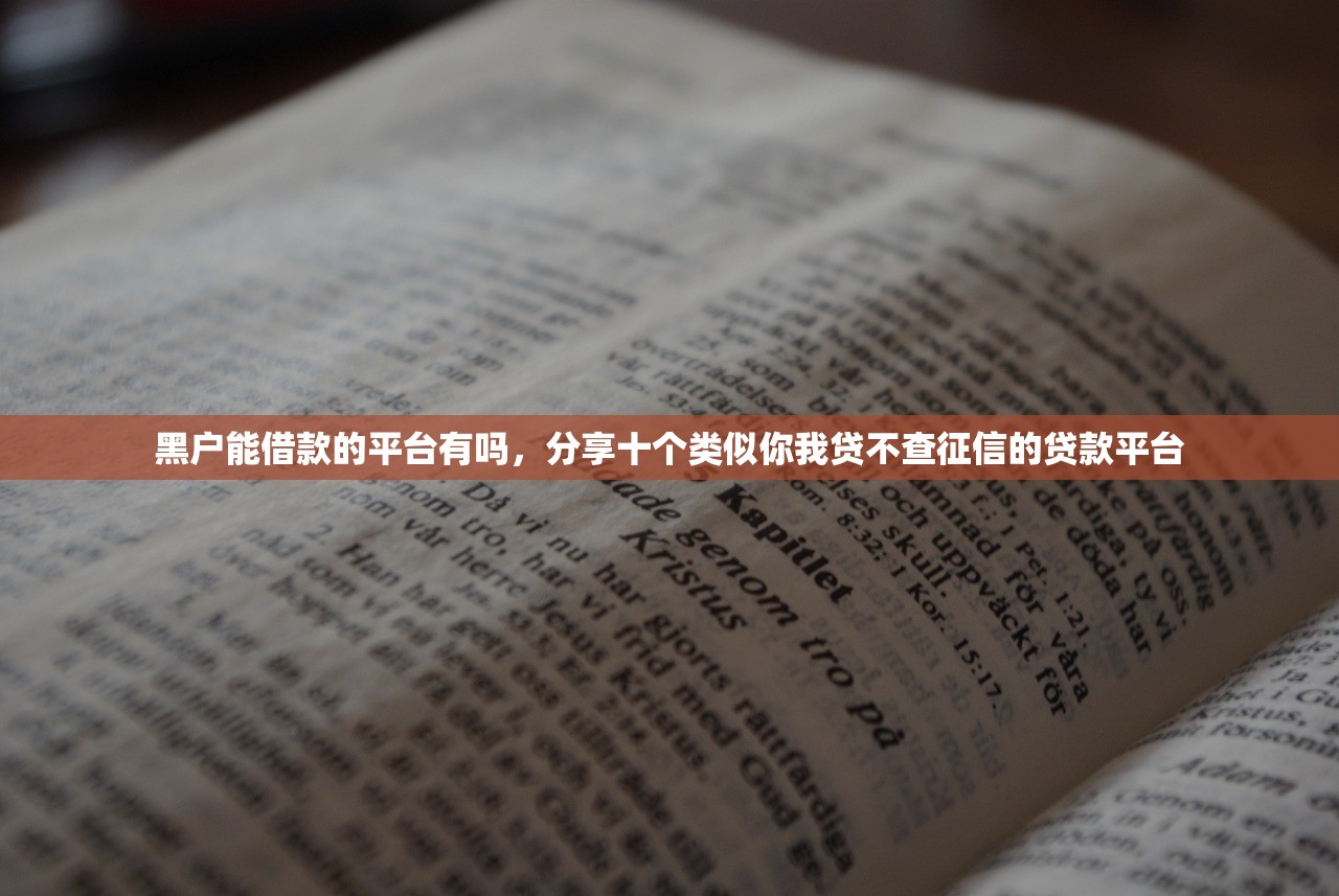 黑户能借款的平台有吗，分享十个类似你我贷不查征信的贷款平台