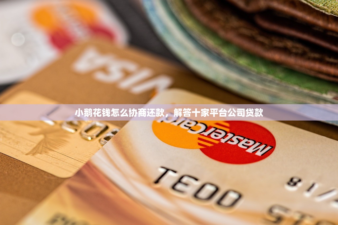 小鹅花钱怎么协商还款，解答十家平台公司贷款