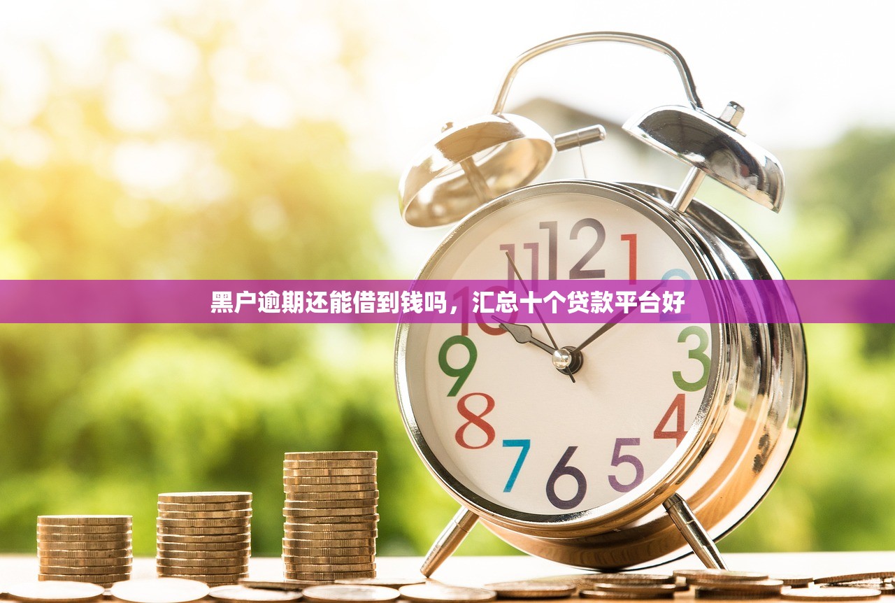 黑户逾期还能借到钱吗，汇总十个贷款平台好