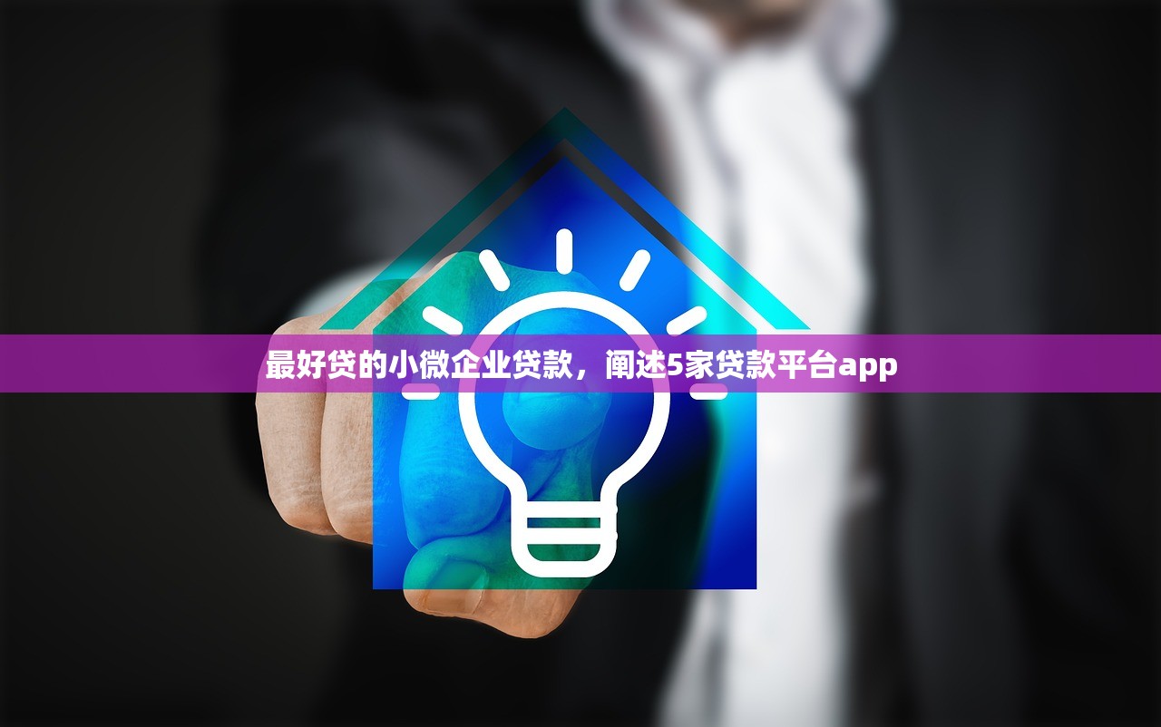 最好贷的小微企业贷款，阐述5家贷款平台app