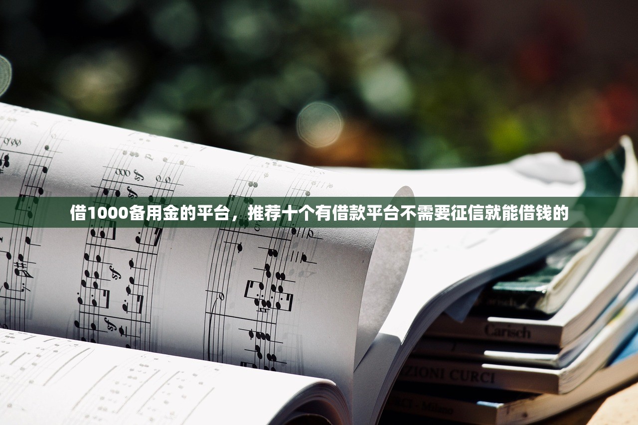 借1000备用金的平台，推荐十个有借款平台不需要征信就能借钱的