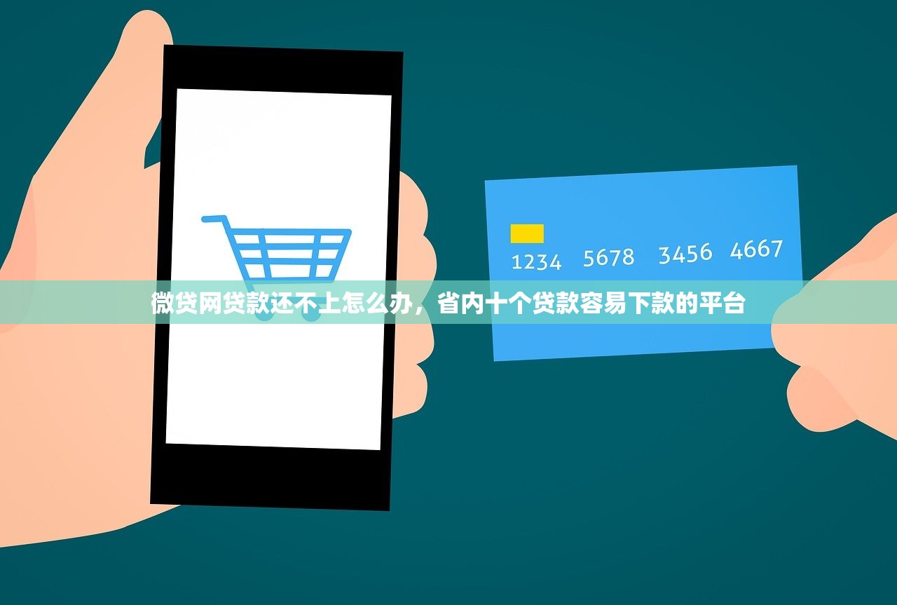 微贷网贷款还不上怎么办，省内十个贷款容易下款的平台