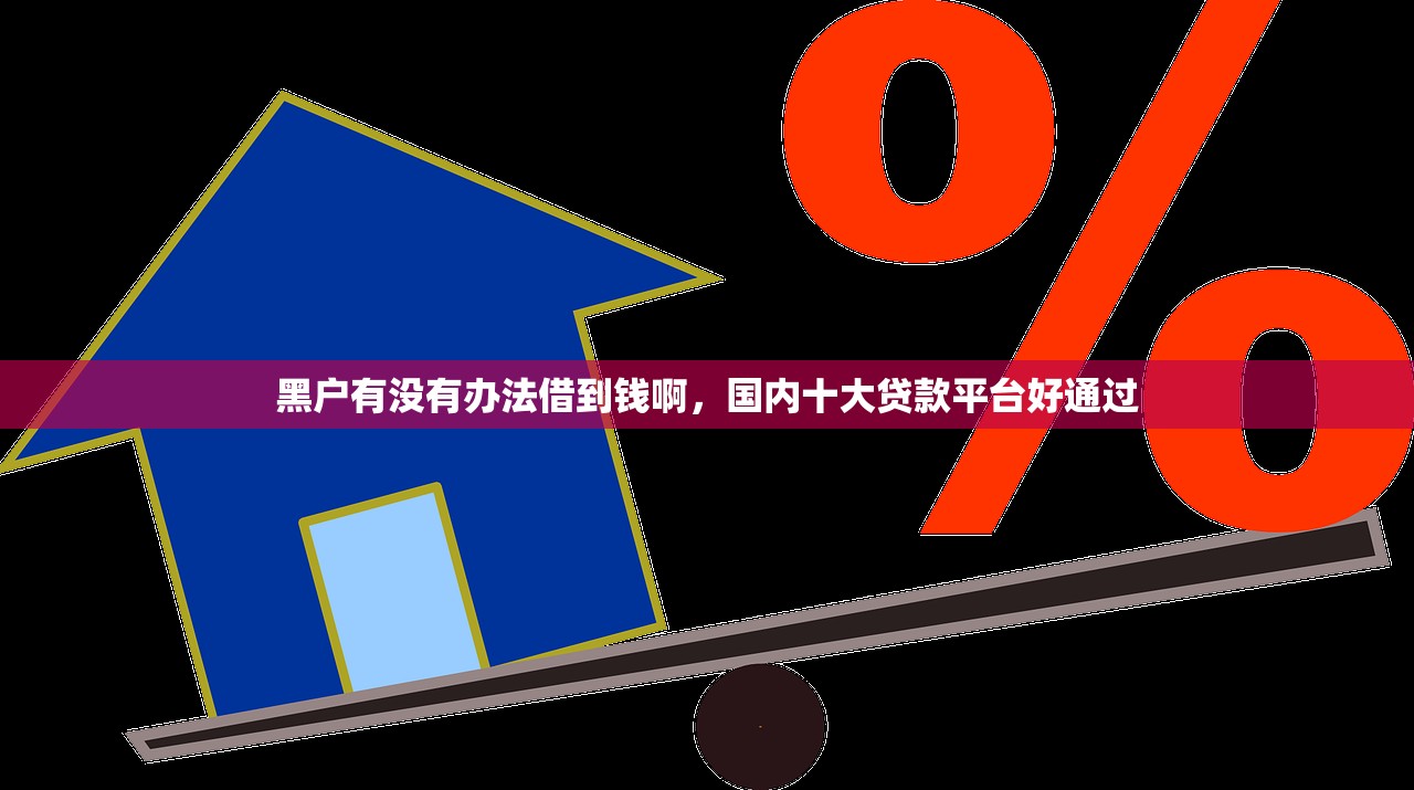 黑户有没有办法借到钱啊，国内十大贷款平台好通过