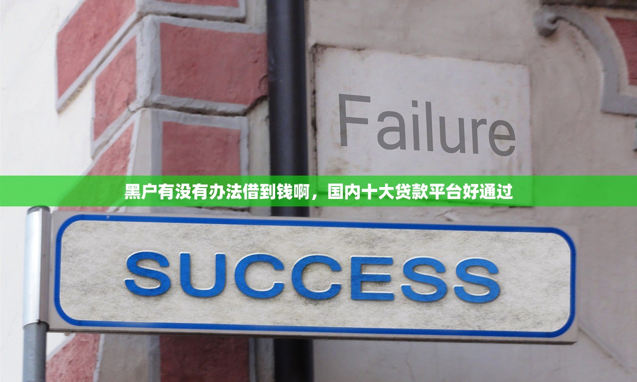 黑户有没有办法借到钱啊，国内十大贷款平台好通过