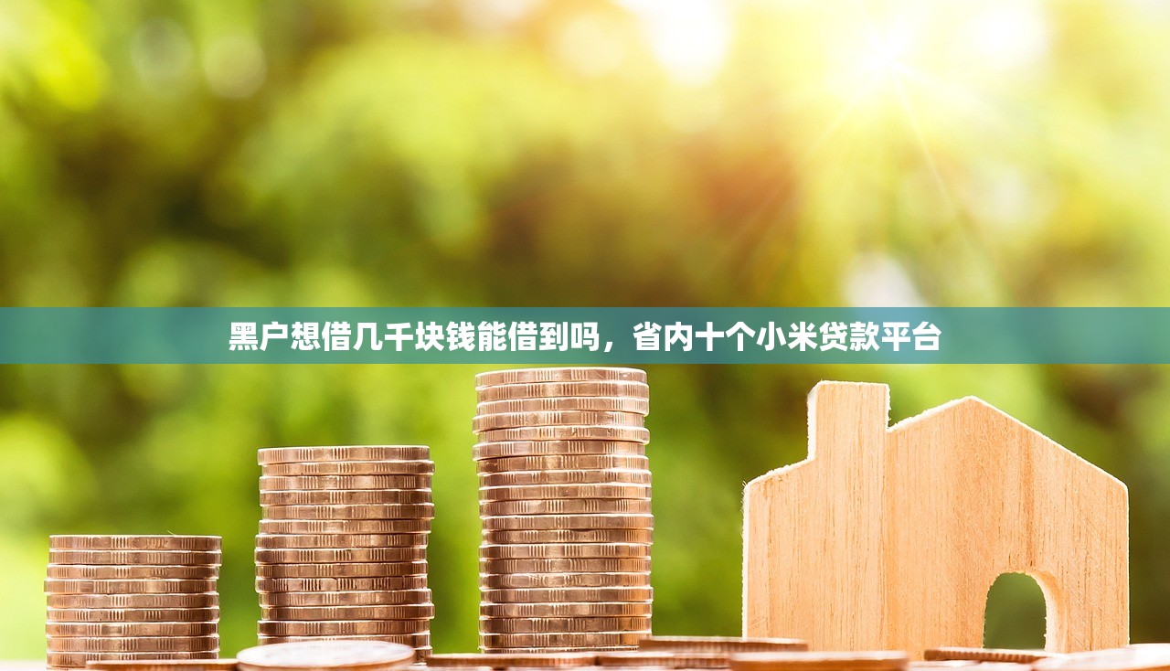 黑户想借几千块钱能借到吗，省内十个小米贷款平台