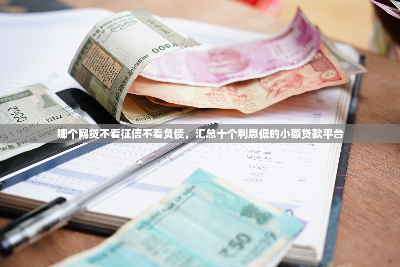 哪个网贷不看征信不看负债，汇总十个利息低的小额贷款平台
