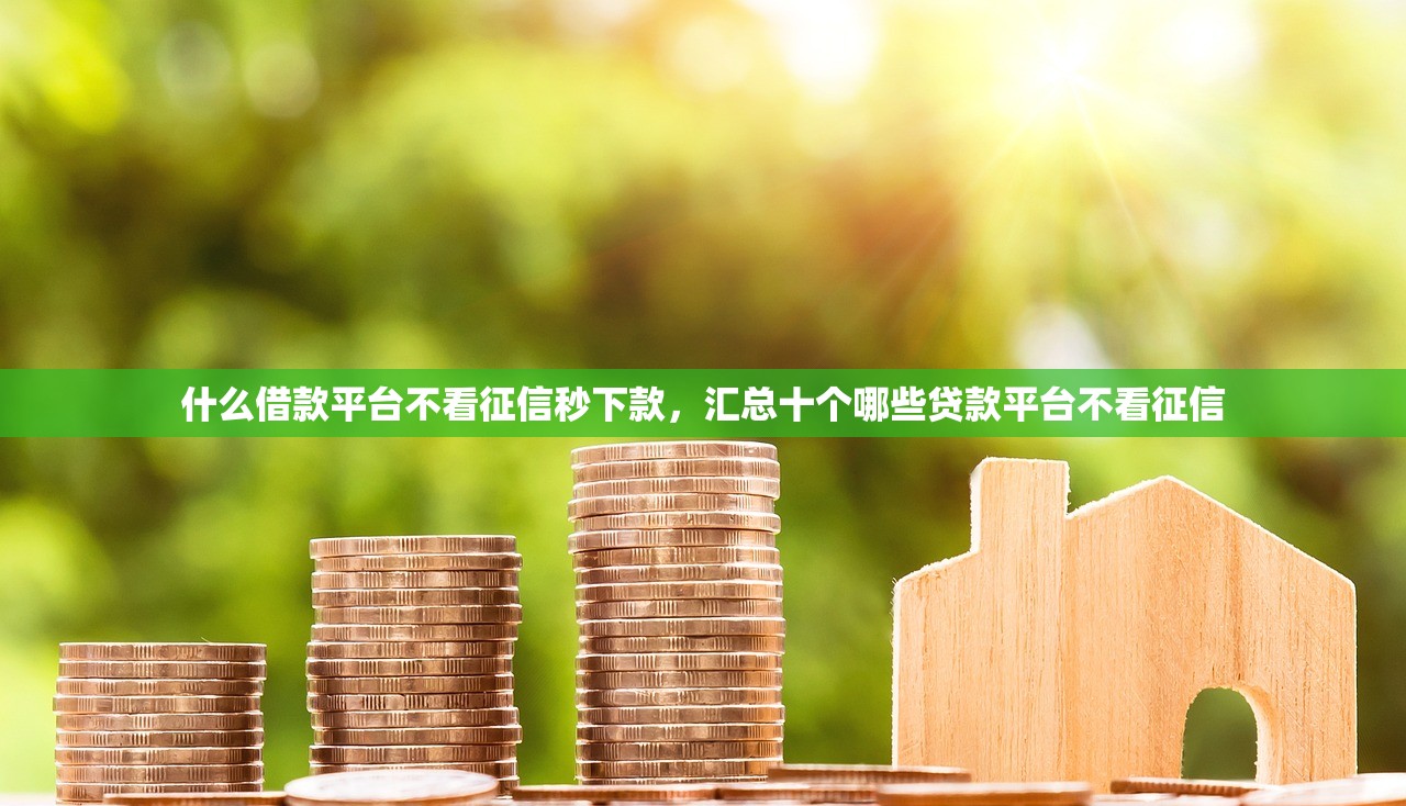 什么借款平台不看征信秒下款，汇总十个哪些贷款平台不看征信