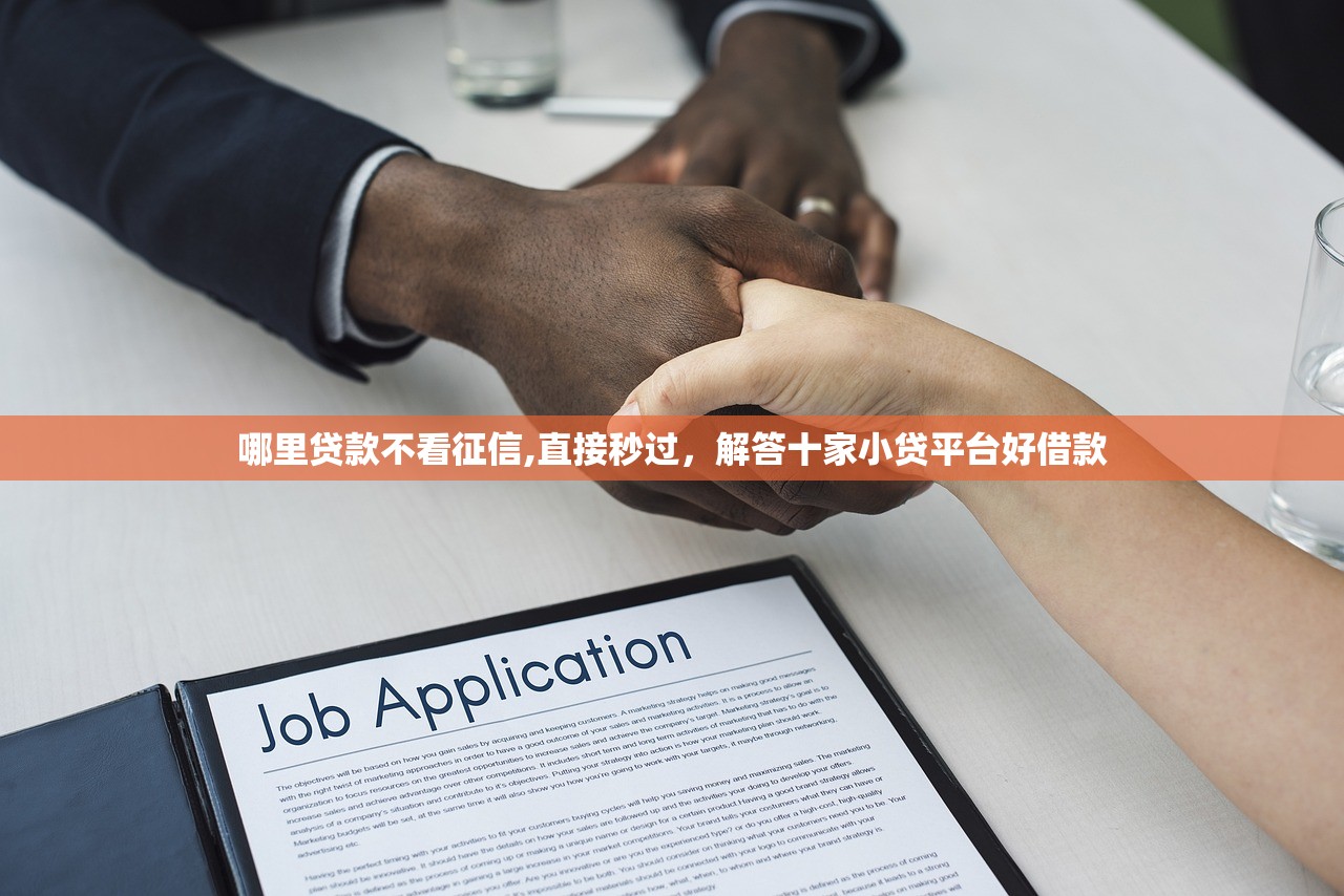 哪里贷款不看征信,直接秒过，解答十家小贷平台好借款