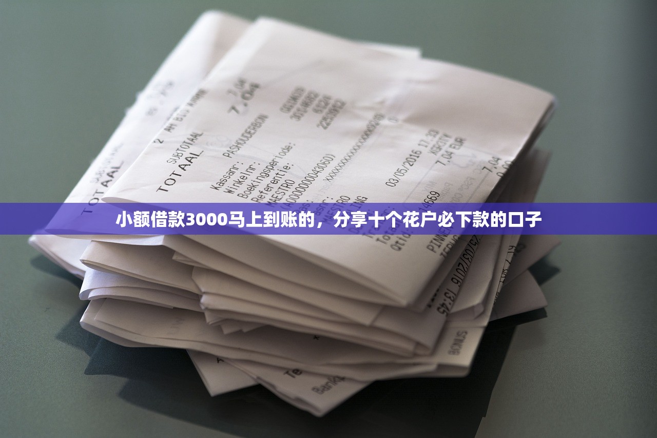 小额借款3000马上到账的，分享十个花户必下款的口子