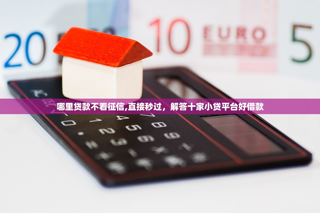 哪里贷款不看征信,直接秒过，解答十家小贷平台好借款