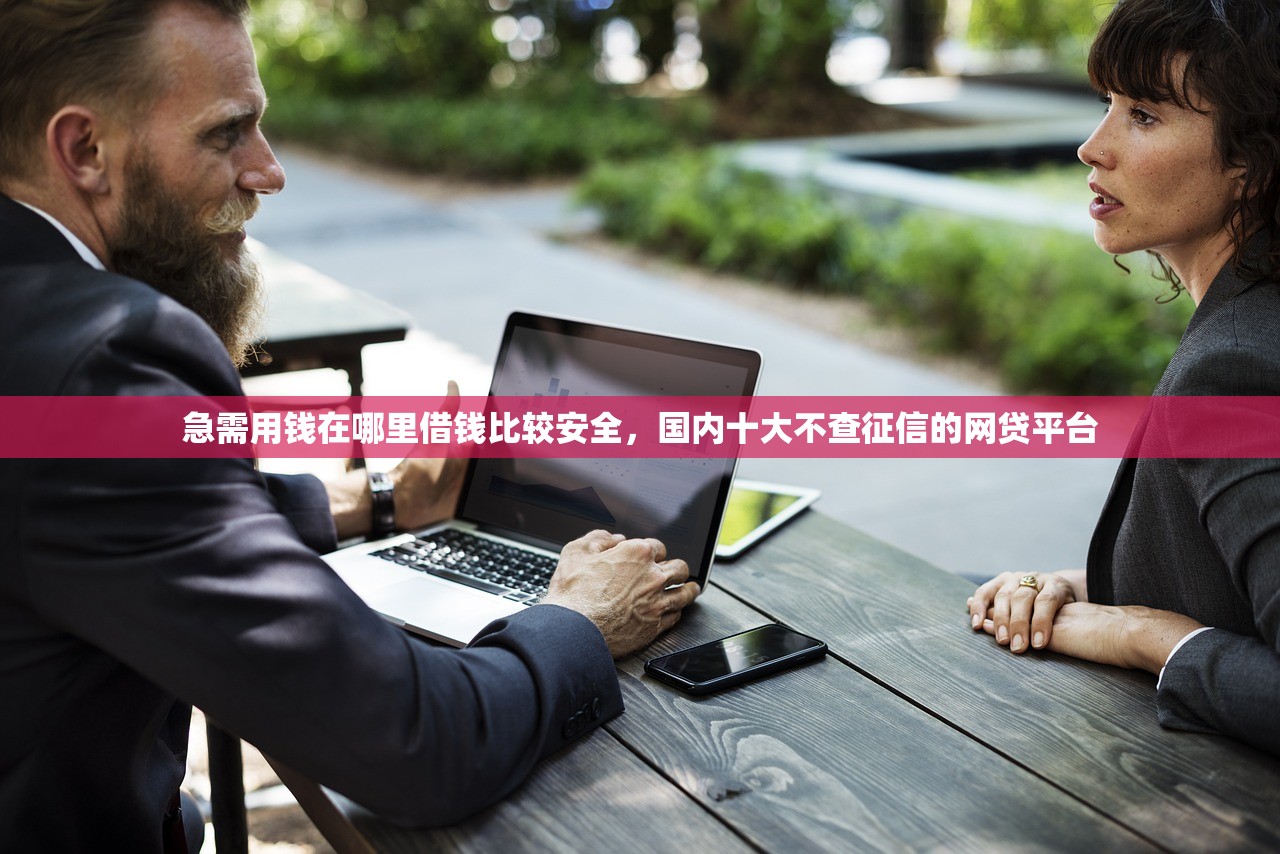 急需用钱在哪里借钱比较安全，国内十大不查征信的网贷平台