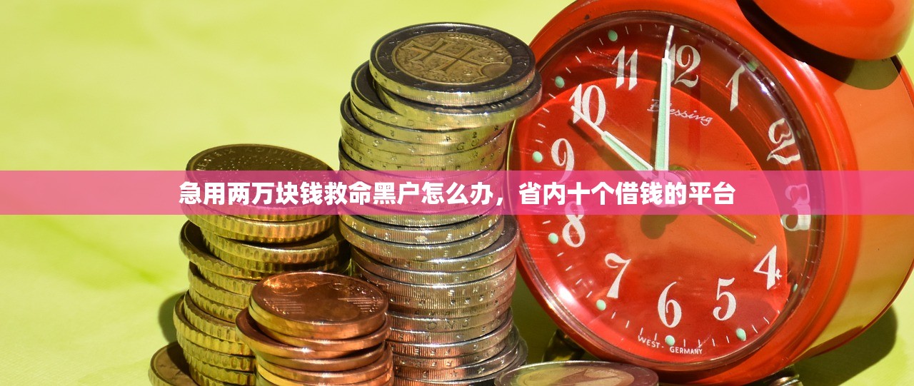 急用两万块钱救命黑户怎么办，省内十个借钱的平台
