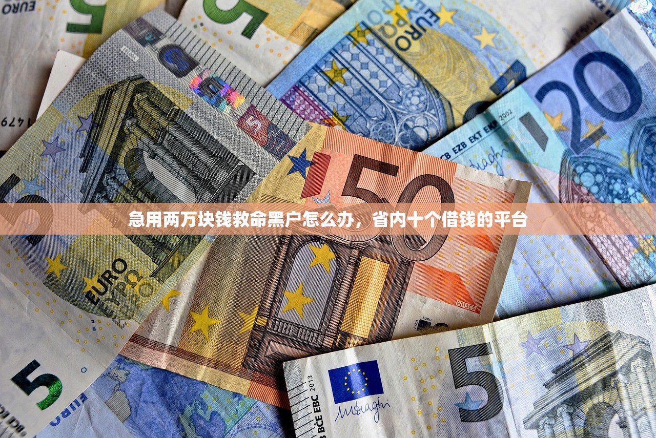 急用两万块钱救命黑户怎么办，省内十个借钱的平台