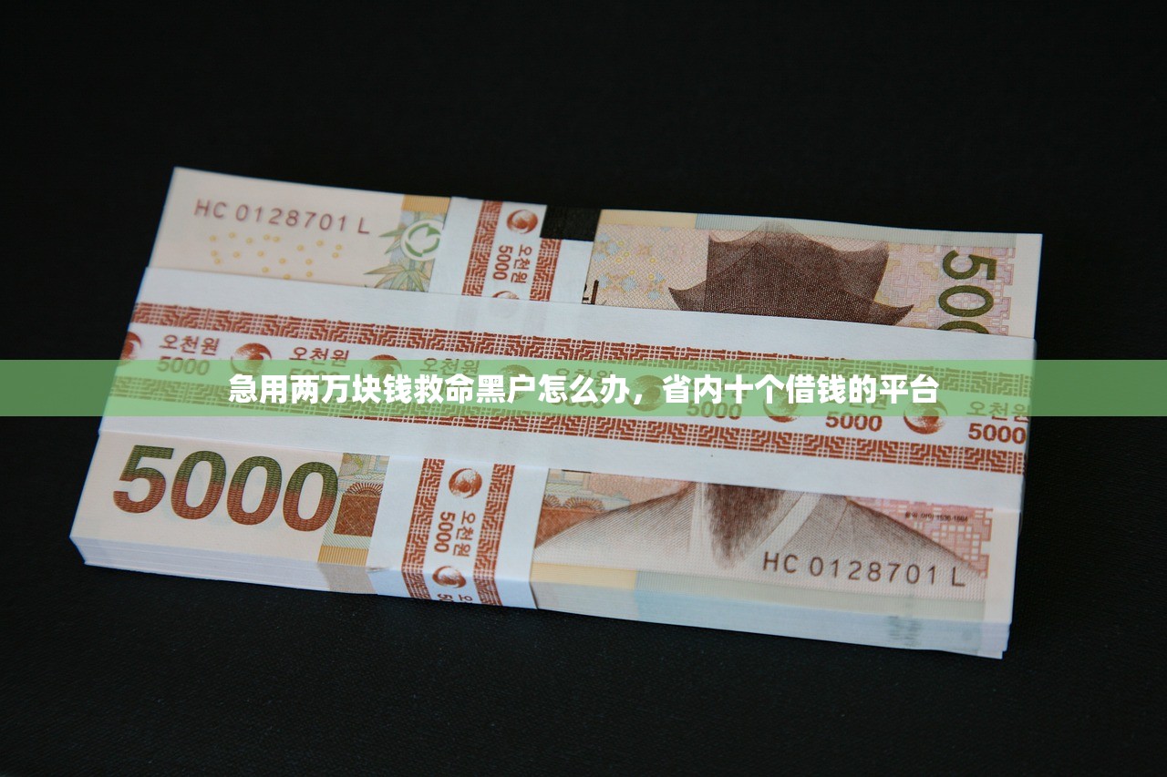 急用两万块钱救命黑户怎么办，省内十个借钱的平台