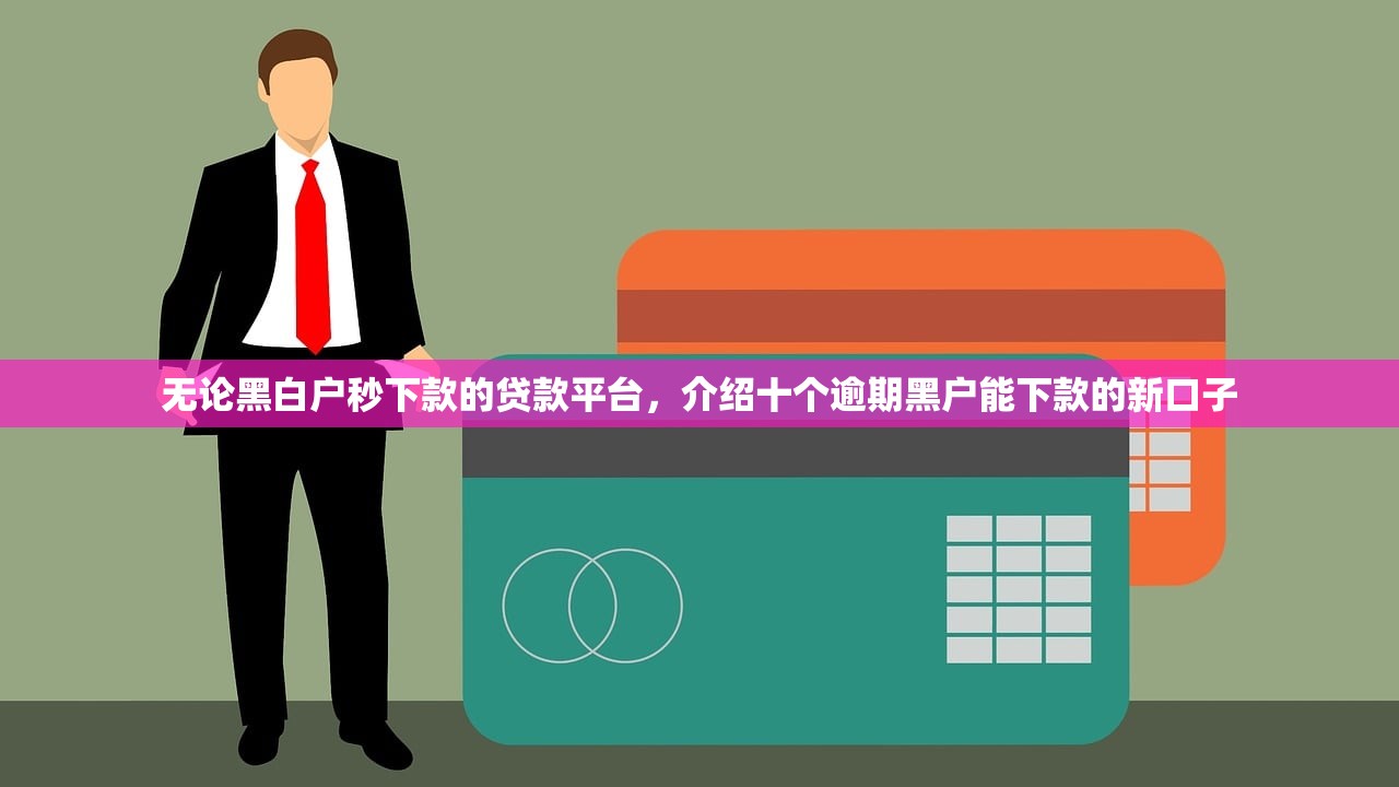 无论黑白户秒下款的贷款平台，介绍十个逾期黑户能下款的新口子