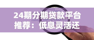 24期分期贷款平台推荐：低息灵活还款方案解析