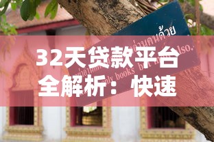 32天贷款平台全解析：快速借款指南与避坑技巧