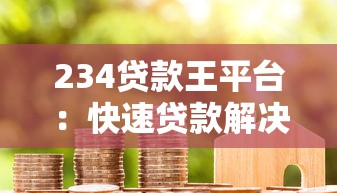 234贷款王平台：快速贷款解决方案与用户真实体验解析