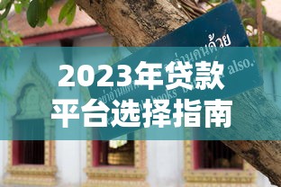 网商贷提前还款可行吗？详解操作流程与注意事项