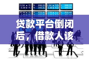 信贷审查全流程解析：贷款避坑指南必看要点