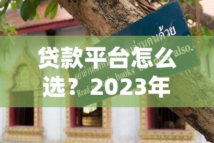 有钱花还款攻略：正确操作流程和避坑指南你知道吗？