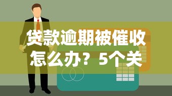 花呗主动还款手续费怎么算？这些细节要注意！