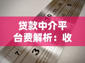 羊小咩贷款正规平台吗？深度解析平台资质与安全优势