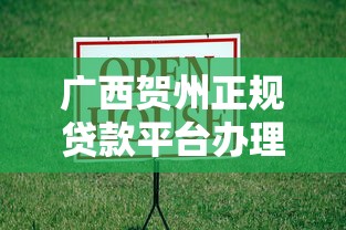 广西贺州正规贷款平台办理指南：低息借款渠道解析