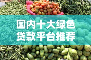 国内十大绿色贷款平台推荐  环保项目融资指南