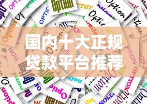 国内十大正规贷款平台推荐及选择指南