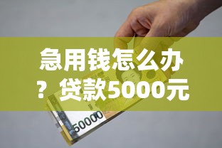 东莞小额贷款公司怎么选？手把手教你避坑+低息攻略
