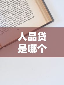 人品贷是哪个公司的贷款平台？资质、利息、申请流程全解析