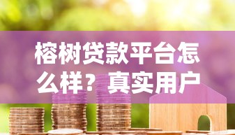 榕树贷款平台怎么样？真实用户测评与产品解析