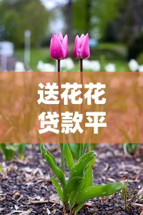送花花贷款平台：正规低息贷款解决方案，快速到账助力资金周转