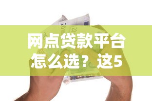 网点贷款平台怎么选？这5个避坑指南助你轻松借款