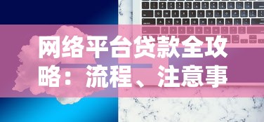网络平台贷款全攻略：流程、注意事项及常见问题解答