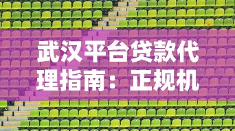 武汉平台贷款代理指南：正规机构选择与流程详解