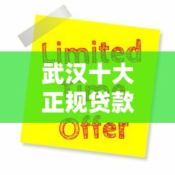 武汉十大正规贷款平台公司推荐及申请指南