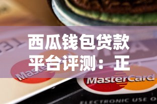 西瓜钱包贷款平台评测：正规贷款如何快速申请到账