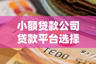 小额贷款公司贷款平台选择指南：申请流程与注意事项解析